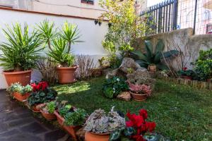 a garden with plants in pots on the grass at affittacamere S'Ortensia in Mamoiada