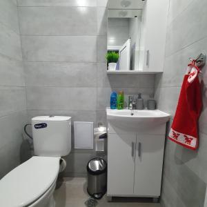 a small bathroom with a toilet and a sink at Yantra Tower Studio Maya in Gabrovo +14 photos