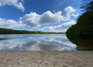 Naturlandskabet i nærheden af lejligheden