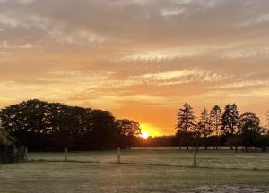 Solopgangen eller solnedgangen set fra lejligheden + 10 billeder