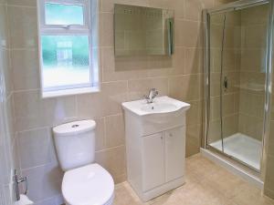 een badkamer met een toilet, een wastafel en een douche bij Coombehayes Lodge in Uplyme