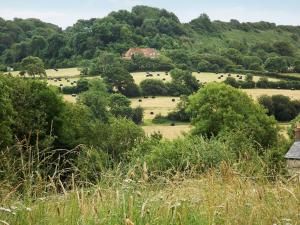 een weiland met koeien in de verte bij Coombehayes Lodge in Uplyme