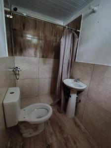 圣格雷戈里奥德波兰科La Costa Homes的带马桶和水槽的浴室