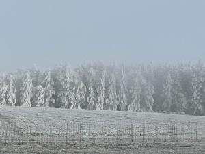 a fence in a field with snow covered trees at Hotel & Restaurant Adolfovský Dvůr in Adolfov