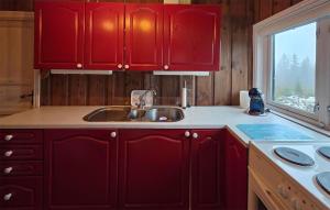 Køkken eller tekøkken på Beautiful Home In Svarstad With Wifi