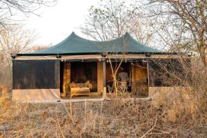 EndulenNdutu Bush Camp的田野里一个绿色的帐篷，里面有一张沙发。