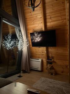 TV a/nebo společenská místnost v ubytování TriView