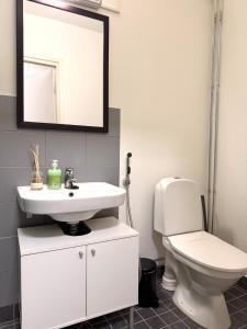 een badkamer met een wit toilet en een spiegel bij Lahtihovi in Lahti +24 foto's
