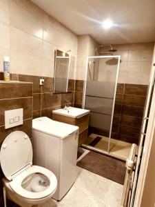 a small bathroom with a toilet and a shower at Studio cosy proximité télécabine ski Meribel - Cure thermale in Brides-les-Bains