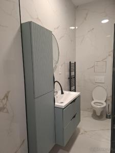een badkamer met een wastafel en een toilet bij Apartmán Central Point 1 in Humenné +9 foto's