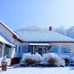 una casa cubierta de nieve con algunos arbustos en Harmony Vendégház Egerszalók, en Egerszalók