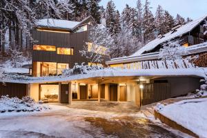 een huis in het bos in de sneeuw bij Villa Jasna in Kranjska Gora +49 foto's