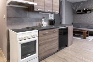 Kuchyň nebo kuchyňský kout v ubytování Ubytováni u PÁji + 20 fotografií