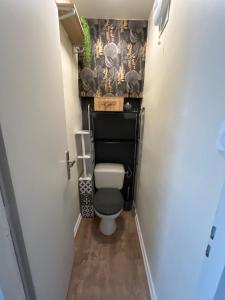 a bathroom with a toilet with a black and white wallpaper at Hyper centre parking privé in La Roche-sur-Yon