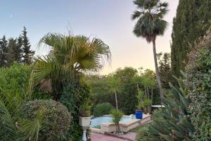 een tuin met een palmboom en een zwembad bij Studio indépendant en villa Calme, Jardins et Piscine à 5 min de la Mer in Nice +8 foto's