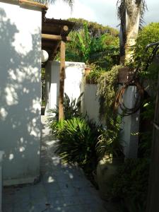 Fotografie z fotogalerie ubytování Pitosforo - Ulivo - Cocco v Ischii