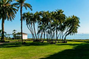 una fila di palme in un parco vicino all'oceano di Fernald Point Adventure a Montecito