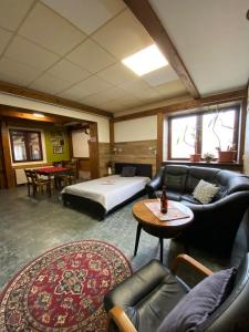 Χώρος καθιστικού στο Studio JAVOR pod Tatrami