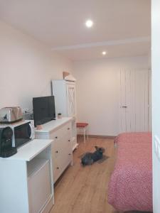 ein Hund auf dem Boden in einem Zimmer in der Unterkunft O p'tit nid à bulles in Létricourt