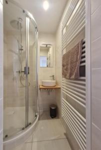 ein Badezimmer mit Dusche und Waschbecken in der Unterkunft O p'tit nid à bulles in Létricourt