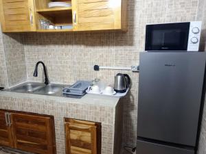 Kuchyň nebo kuchyňský kout v ubytování Appartement 2 à 3 pièces Tout Confort Paisible - Swan