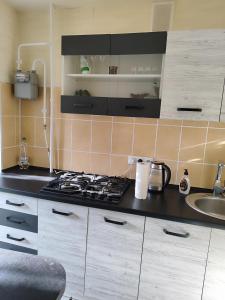 een aanrecht met een fornuis en een wastafel bij Квартира в центре города Тирасполь in Crăsnăşeni