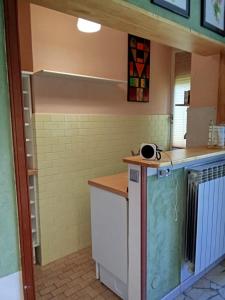 - une cuisine avec un comptoir et un lave-vaisselle dans l'établissement Casa Cicognola Between River and Lake Magic, à Castelletto sopra Ticino