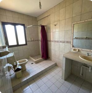 een badkamer met toilet, douche en wastafel bij Hotel San Javier in San Luis