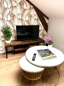 TV a/nebo společenská místnost v ubytování La Mansarde - Appartement cosy de 2 chambres + 14 fotografií