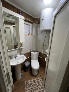 Koupelna v ubytování Studio lux Strpce