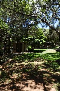 MassanoEast Coast Camping的一片树木和草地的公园