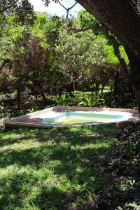 MassanoEast Coast Camping的树下草木上的蹦床