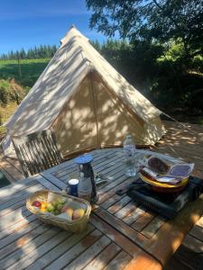 a picnic table with a basket of fruit and a tent at Domaine du Fourtet in Arfons