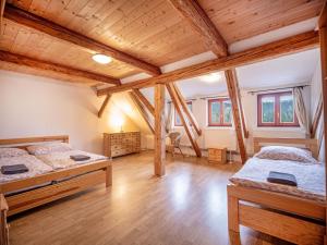 two beds in a room with wooden ceilings at Nová Hájovna in Říčky