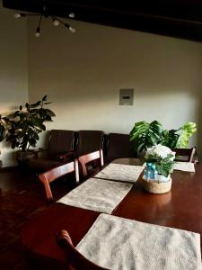 ein Tisch in einem Raum mit Stühlen und Pflanzen in der Unterkunft Departamento tranquilo con terraza privada in Riobamba