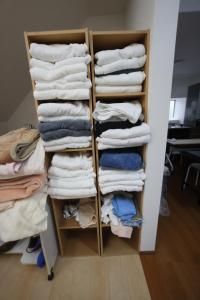 Fotografie z fotogalerie ubytování シニア婚活ゲストハウス富士山オモテナシ v destinaci Fudžinomija