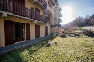 Twee kippen lopen in een tuin naast een gebouw. bij Studio Cabine Ax Les 3 Domaines in Ax-les-Thermes