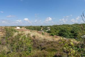 a grassy hill with trees and houses in the distance at DuinHut with Hottub in Ons Belang +4 photos
