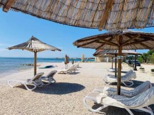 a group of chairs and umbrellas on a beach at Apartments Darko in Vir