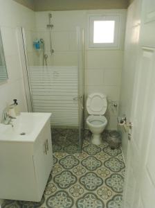 un bagno con wc, lavandino e doccia di אירוח משק 42 a Sheʼar Yashuv