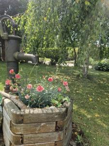 a wooden planter with flowers in a garden at Ferienwohnung Thomée in Looft +7 photos