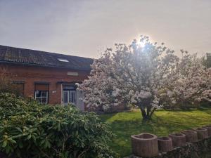 a tree in a yard next to a brick house at Ferienwohnung Thomée in Looft