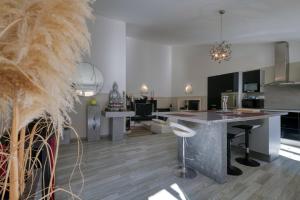 een keuken met een groot eiland in een kamer bij Black & White in Alignan-du-Vent