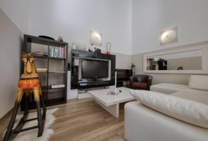 een woonkamer met een bank en een tv bij Black & White in Alignan-du-Vent