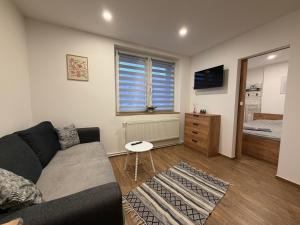 ein Wohnzimmer mit Sofa und ein Schlafzimmer in der Unterkunft ApartmentsByMatyrafa-XIV in Tarnowitz