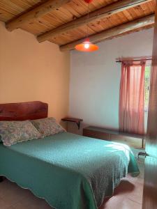 ein Schlafzimmer mit einem Bett mit einer grünen Bettdecke in der Unterkunft Cabañas Las Marias in San Luis