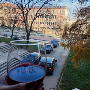 Φωτογραφία από το άλμπουμ του NoVa apartman - stan na dan στη Βράνιε