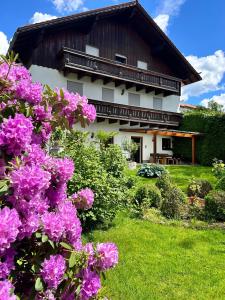 Zahrada ubytování Habicht Ferienhaus