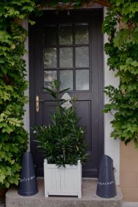 ブザンソンにあるChambre d'Hôtes La Villa Molinaの鉢植えの黒い扉