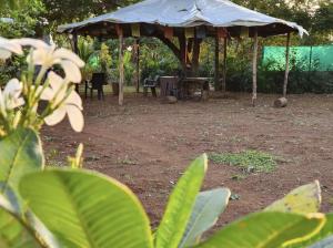 En have udenfor Lake Side Mantra